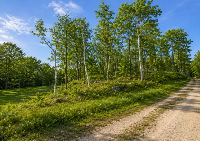 Homes for sale in Walker, MN | 480 Ridgeway Ln, Walker, MN 56484 | MLS# 7006386