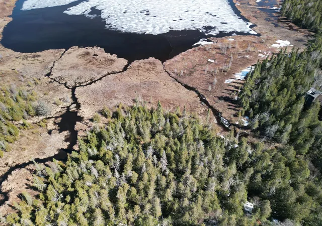 Photo 3 of Land for sale at 9426 Cramer Rd, Finland, MN 55603 | MLS# 7006467 | Listing updated on 2026-08-21