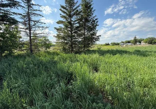 3rd image of 8292 Cabot Ave, Medford, MN 55049 | MLS# 7007114