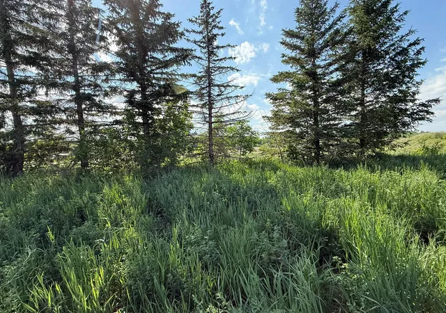 4th image of 8292 Cabot Ave, Medford, MN 55049 | MLS# 7007114