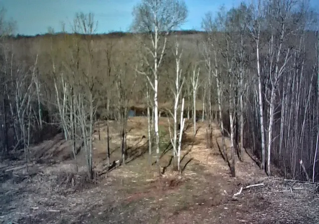 Photo 2 of Land for sale at 13649 188th Place, Mc Grath, MN 56350 | MLS# 7007489 | Listing updated on 2026-09-03