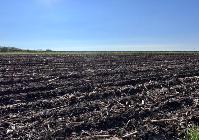 2nd image of Tbd Grandview Rd, Elbow Lake, MN 56531 | MLS# 7007642