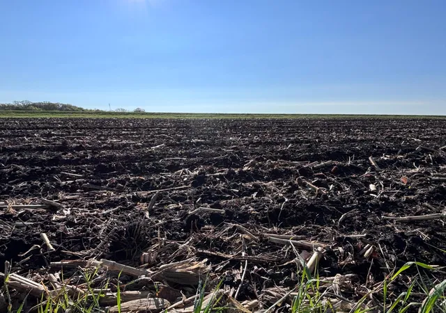 3rd image of Tbd Grandview Rd, Elbow Lake, MN 56531 | MLS# 7007642