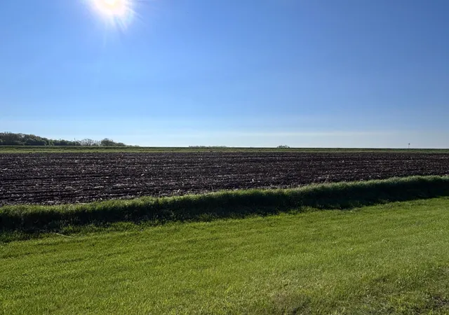 4th image of Tbd Grandview Rd, Elbow Lake, MN 56531 | MLS# 7007642