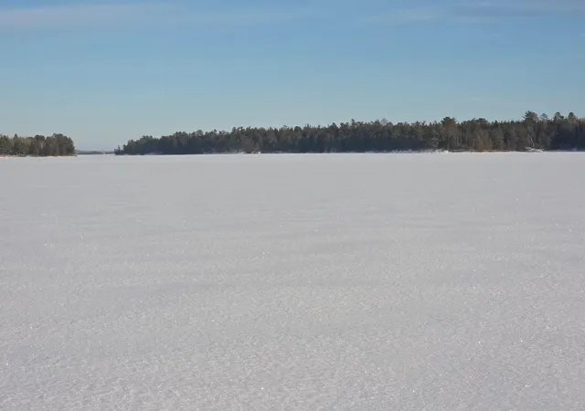 Photo 3 of Land for sale at Tbd Keyes Is, International Falls, MN 56649 | MLS# 7007759 | Listing updated on 2026-04-14