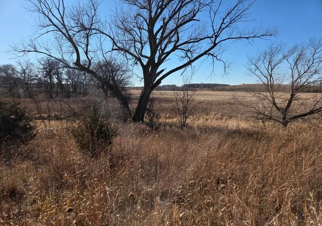 1st image of 36999 141st Lane, Montgomery, MN 56069 | MLS# 7008425
