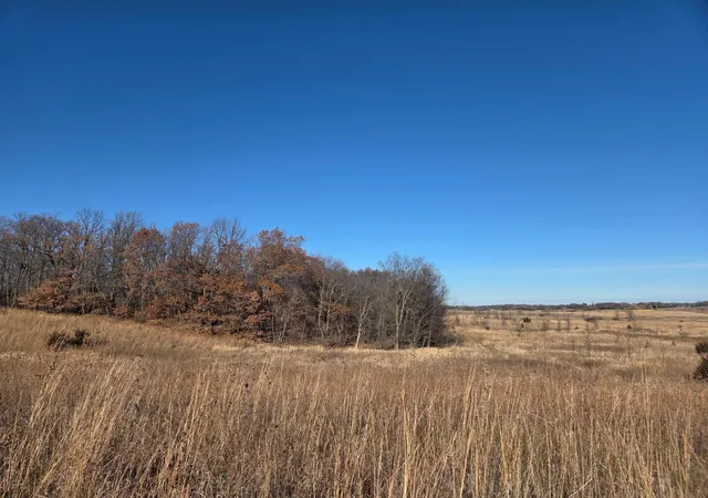 2nd image of 36999 141st Lane, Montgomery, MN 56069 | MLS# 7008425