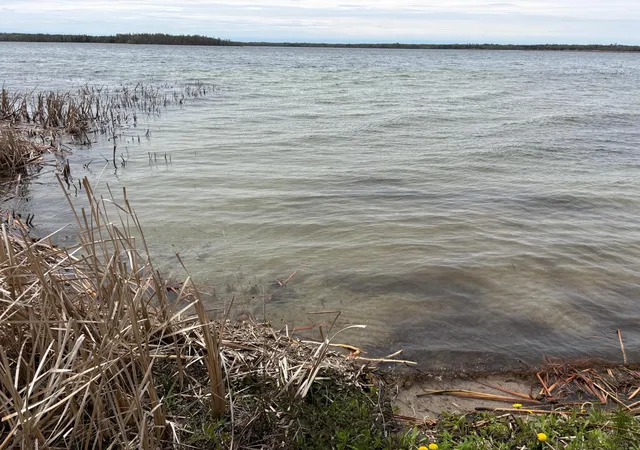 2nd image of 18196 N Blackduck Lake Rd Ne, Hines, MN 56647 | MLS# 7008750