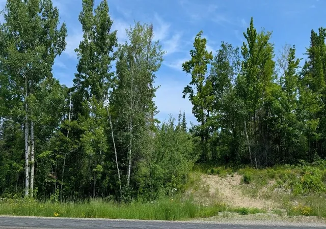 1st image of Tbd Hwy 22, Cook, MN 55703 | MLS# 7008897