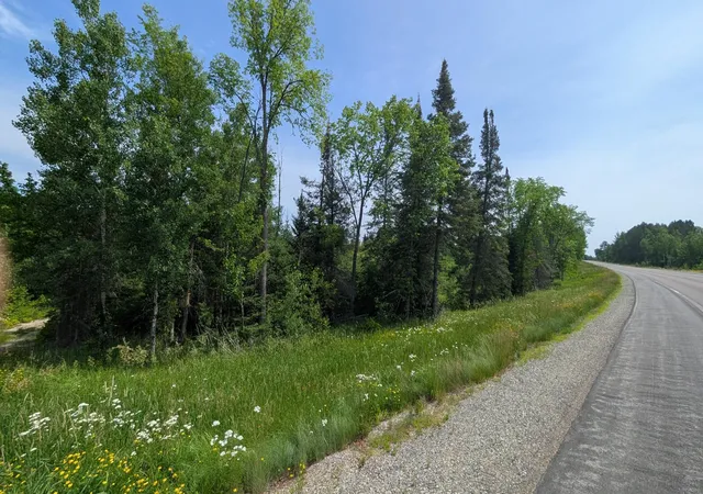 3rd image of Tbd Hwy 22, Cook, MN 55703 | MLS# 7008897