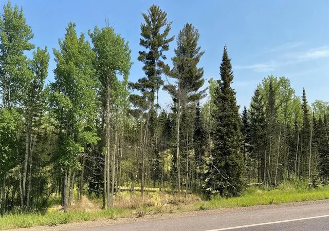 5th image of Tbd Hwy 22, Cook, MN 55703 | MLS# 7008897