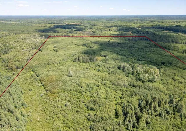 1st image of Xxxx No Road Access, Cotton, MN 55724 | MLS# 7011139