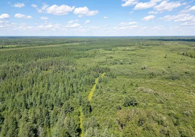 2nd image of Xxxx No Road Access, Cotton, MN 55724 | MLS# 7011139