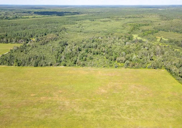 3rd image of Xxxx No Road Access, Cotton, MN 55724 | MLS# 7011139