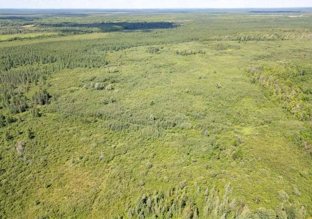 4th image of Xxxx No Road Access, Cotton, MN 55724 | MLS# 7011139