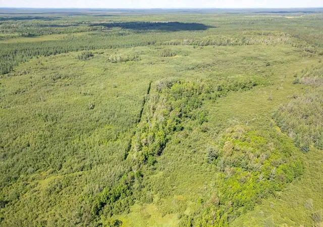5th image of Xxxx No Road Access, Cotton, MN 55724 | MLS# 7011139