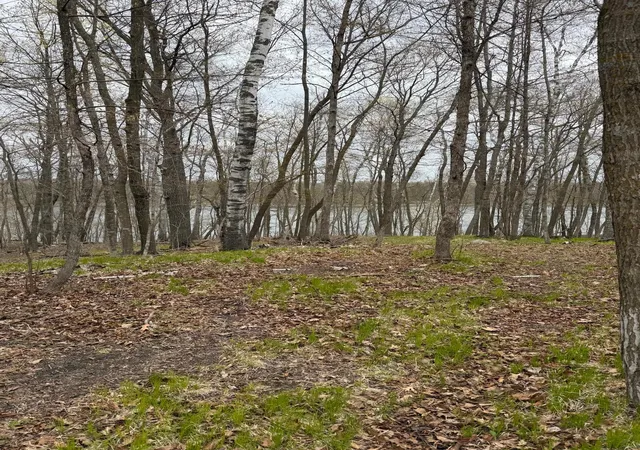 Photo 3 of Land for sale at Lot 7 Sw Pickerel Lake Rd, Detroit Lakes, MN 56501 | MLS# 7011385 | Listing updated on 2026-07-18