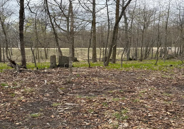 Photo 3 of Land for sale at Lot 7 SW Pickerel Lake Rd, Detroit Lakes, MN 56501 | MLS# 7011385 | Listing updated on 2026-07-18