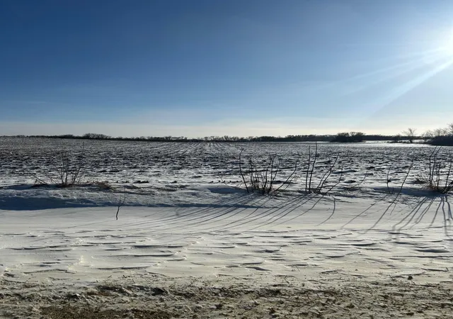 Photo 3 of Land for sale at Xxxx 285th (180 Acres) St, Northfield, MN 55057 | MLS# 7012420 | Listing updated on 2026-07-30