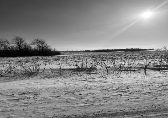Photo 4 of Land for sale at Xxxx 285th (180 Acres) St, Northfield, MN 55057 | MLS# 7012420 | Listing updated on 2026-07-30
