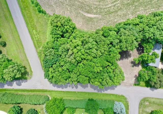 Homes for sale in New London, MN | Tbd 161St Ave Ne, New London, MN 56273 | MLS# 7013842
