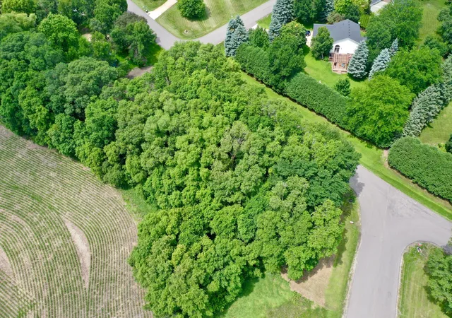 Homes for sale in New London, MN | Tbd 161St Ave Ne, New London, MN 56273 | MLS# 7013842
