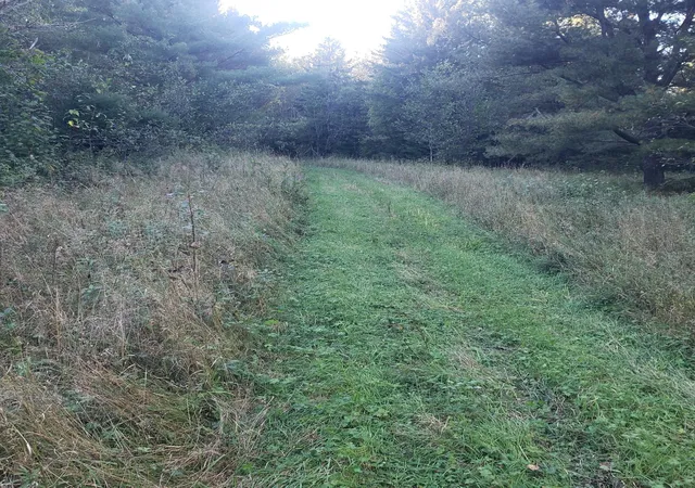Photo 2 of Land for sale at Tbd Gamma Rd, Kabetogama, MN 56669 | MLS# 7015526 | Listing updated on 2026-08-10