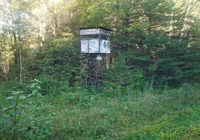 Photo 3 of Land for sale at Tbd Gamma Rd, Kabetogama, MN 56669 | MLS# 7015526 | Listing updated on 2026-08-10