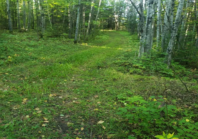 Photo 4 of Land for sale at Tbd Gamma Rd, Kabetogama, MN 56669 | MLS# 7015526 | Listing updated on 2026-08-10