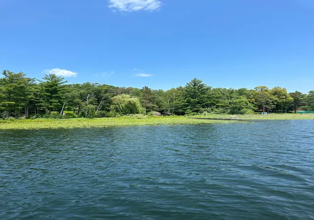 Photo 2 of Land for sale at 5969 Jack Pine Rd, Pequot Lakes, MN 56472 | MLS# 7015688 | Listing updated on 2026-08-13