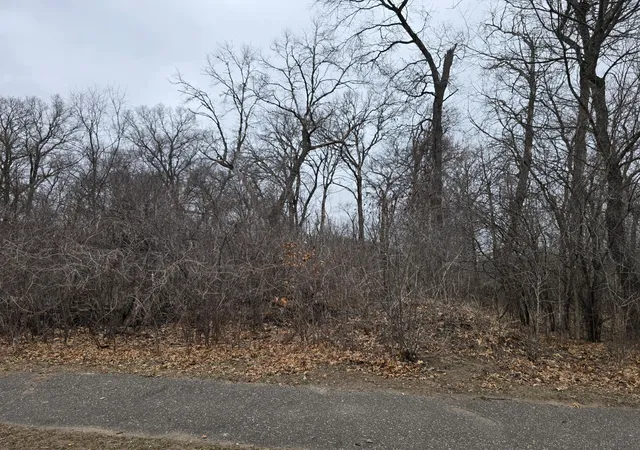 3rd image of L1,B2 288Th Ave Nw, Zimmerman, MN 55398 | MLS# 7015751