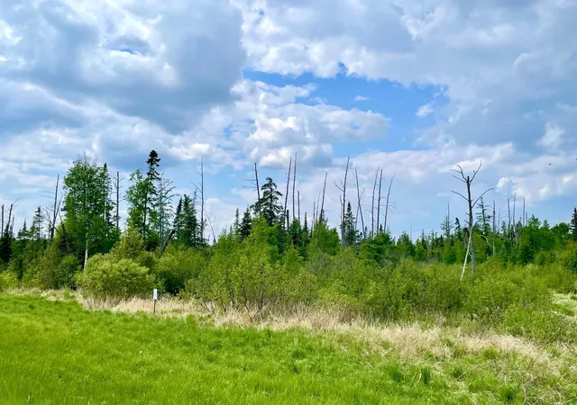 2nd image of Tbd N Plantangenet Rd Se, Bemidji, MN 56601 | MLS# 7017220