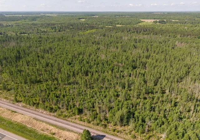 35th image of Tbd N Plantangenet Rd Se, Bemidji, MN 56601 | MLS# 7017220