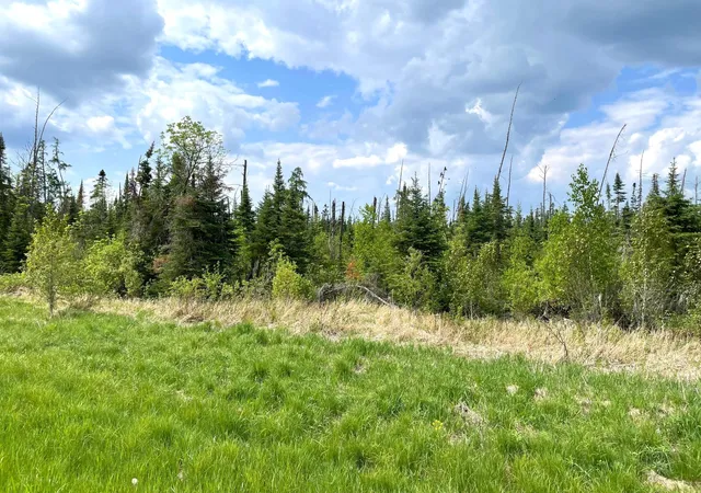 3rd image of Tbd N Plantangenet Rd Se, Bemidji, MN 56601 | MLS# 7017220