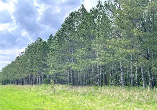 4th image of Tbd N Plantangenet Rd Se, Bemidji, MN 56601 | MLS# 7017220