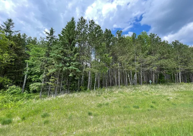 5th image of Tbd N Plantangenet Rd Se, Bemidji, MN 56601 | MLS# 7017220