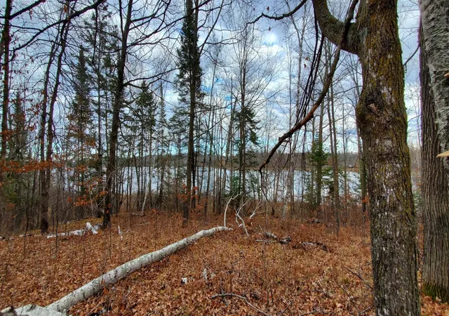 Photo 3 of Land for sale at Tbd - Parcel B Ticonderoga Trl, Hackensack, MN 56452 | MLS# 7017416 | Listing updated on 2026-08-12