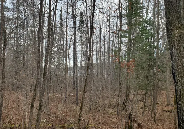 Photo 4 of Land for sale at Tbd - Parcel B Ticonderoga Trl, Hackensack, MN 56452 | MLS# 7017416 | Listing updated on 2026-08-12