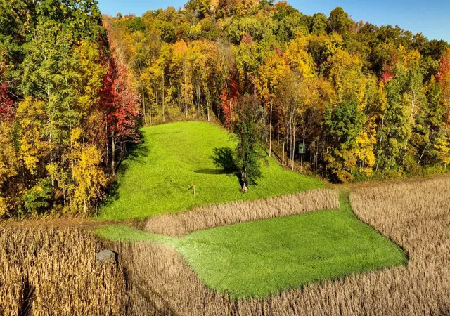Photo 1 of Land at S849 County Rd F, Nelson, WI 54756 | MLS# 7017878 |  | Sold on 2026-04-23