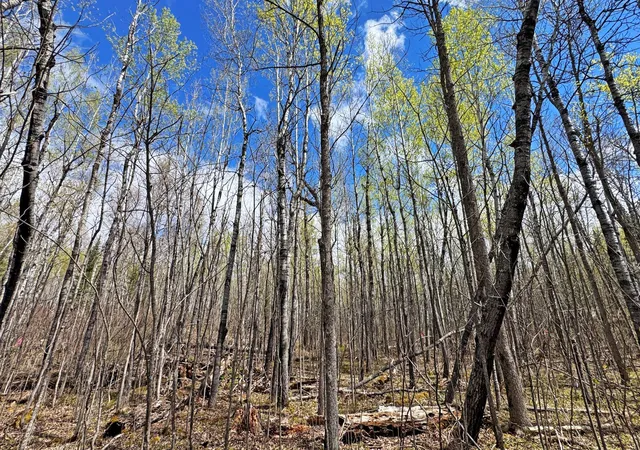 54th image of 0000 Fectos Rd, Tower, MN 55790 | MLS# 7018018