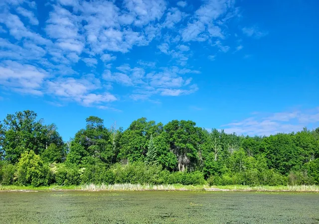 1st image of Tbd Brush Lake Lane, Park Rapids, MN 56470 | MLS# 7018074
