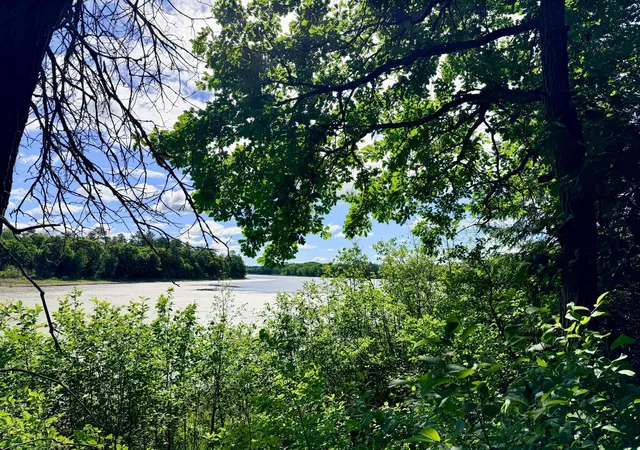 2nd image of Tbd Brush Lake Lane, Park Rapids, MN 56470 | MLS# 7018074