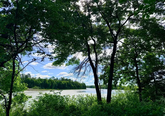 3rd image of Tbd Brush Lake Lane, Park Rapids, MN 56470 | MLS# 7018074