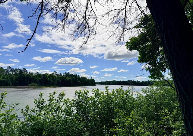 4th image of Tbd Brush Lake Lane, Park Rapids, MN 56470 | MLS# 7018074