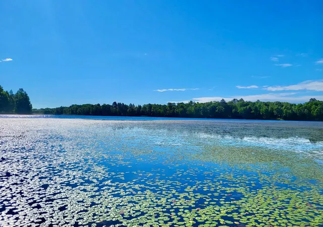 5th image of Tbd Brush Lake Lane, Park Rapids, MN 56470 | MLS# 7018074