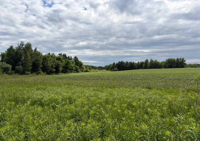 3rd image of 20Xx Quail St, Mora, MN 55051 | MLS# 7018481