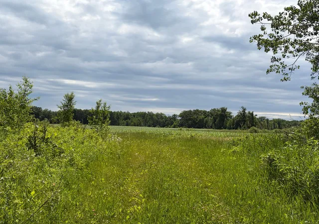 4th image of 20Xx Quail St, Mora, MN 55051 | MLS# 7018481