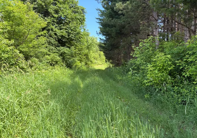 5th image of 20Xx Quail St, Mora, MN 55051 | MLS# 7018481