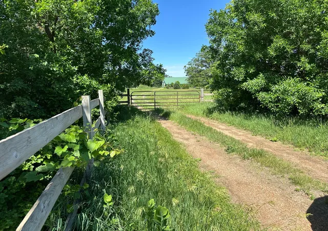 3rd image of Xxx Hwy 284, Cologne, MN 55322 | MLS# 7019129