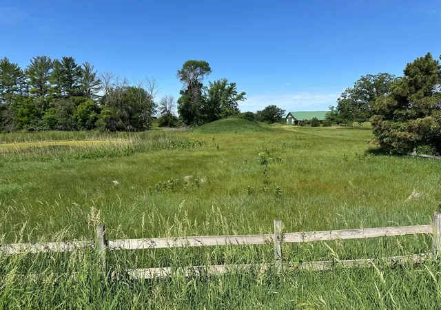 4th image of Xxx Hwy 284, Cologne, MN 55322 | MLS# 7019129